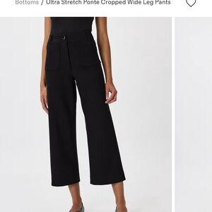 Quince Black Cropped Wide Leg Ponte Pants